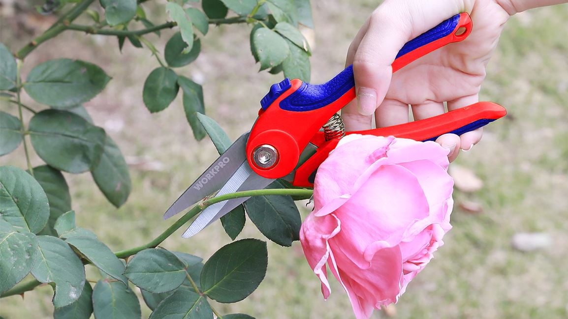¿Cuáles son las diferentes herramientas utilizadas en jardinería?