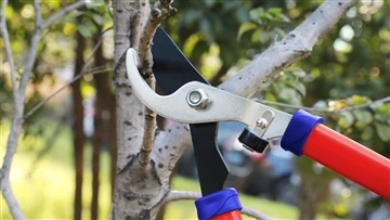 Tijeras de cobertura vs. Hedge Trimmer: una comparación de herramientas de poda