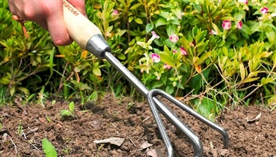 Las mejores formas de mantener sus herramientas de jardín organizadas y seguras