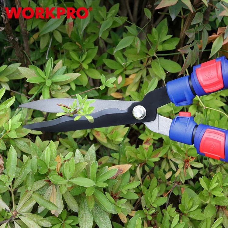 WP332017-5 WP332017-5