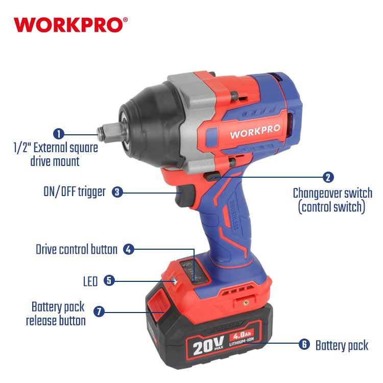 WP390213-2